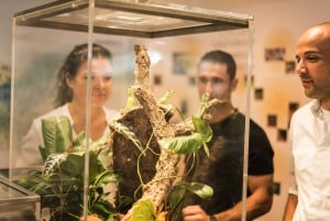 Dubai: Green Planet - het unieke indoor regenwoud