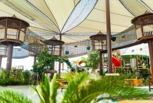 The Green Planet - Dubais unikke indendørs regnskov