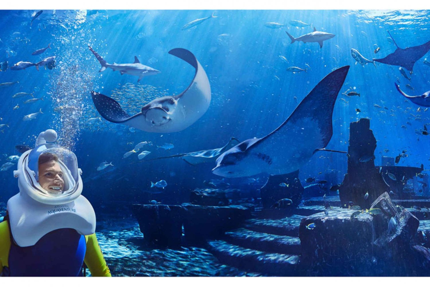 Dubai: The Lost Chambers Aquarium Atlantis Aqua Trek