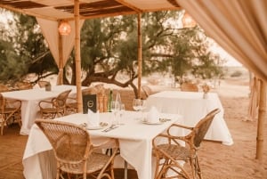 The Nest by Sonara: Luxuriöse Wüstenübernachtung in Dubai