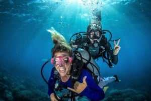 Fujairah: Scuba Dive experience with underwater photos