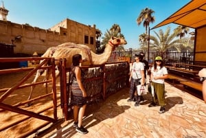 フランス人ガイドによる歴史的なドバイのウォーキング ツアー