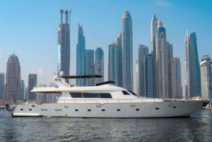 White pearl 100ft 50 Guest