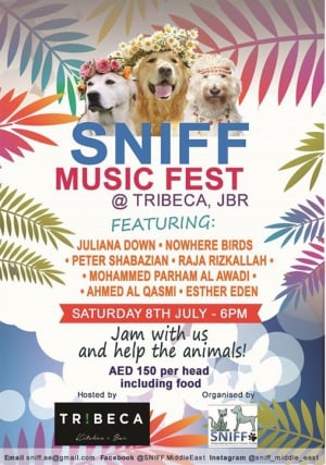 SNIFF Music Fest !