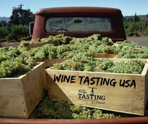 Wine Tasting USA