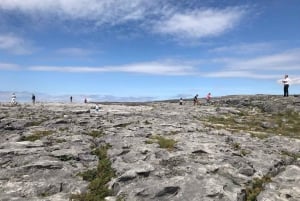 3-Day Cork, Ring of Kerry & the Cliffs of Moher from Dublin