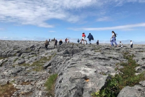 5-dagars rundtur i västra Irland: Blarney Stone & Moher klipporna