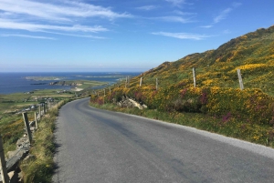 5-Day Tour of West Ireland: Blarney Stone & Cliffs of Moher