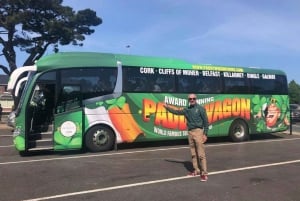 Tour di 6 giorni dell'Irlanda del Sud con partenza da Dublino