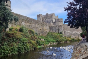 En tur fra Dublin til Cork