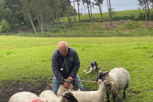 Circuit en Irlande, créez votre propre circuit en Irlande