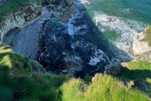 RUNDRESA I HELA IRLAND NORRA & SÖDRA IRLAND