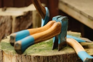 Bijlwerpsessies (Dublin)