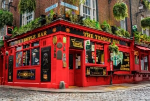 Best of Dublin: Private Walking Tour with a Local