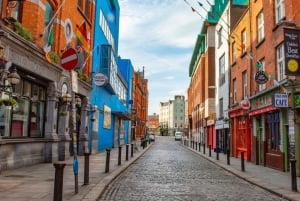 Best of Dublin: Private Walking Tour with a Local