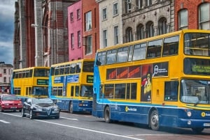 Best of Dublin: Private Walking Tour with a Local