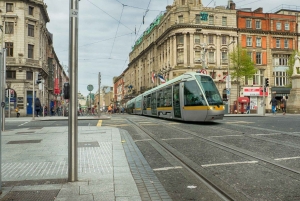 Det bästa av Dublin: Privat rundvandring med en lokal
