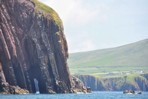 Det beste av Irland på 6-dagers tur: Backpacker / Economy