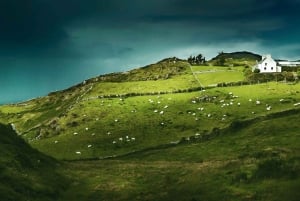 Best of Ireland 6-Day Backpackers Economy Tour