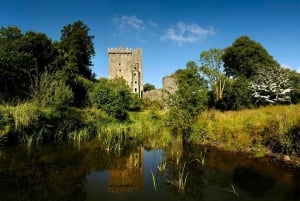 Depuis Dublin : excursion de 1 journée au château de Blarney
