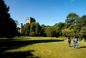 Heldagstur til Blarney Castle fra Dublin