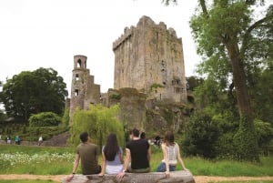 Excursão de 1 Dia ao Castelo de Blarney saindo de Dublin