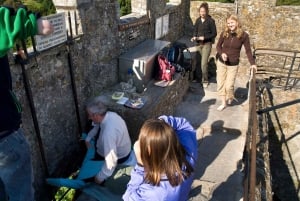 Heldagstur till Blarney Castle som utgår från Dublin