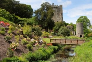 Blarney Castle & Rock of Cashel Private Car Trip from Dublin
