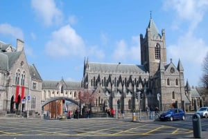 Dublin: Book of Kells, Dublin Castle och Christ Church Tour