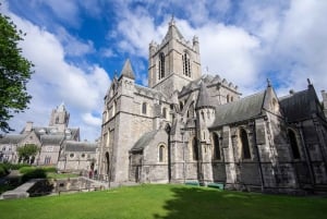 Dublin: Book of Kells, Dublin Castle og Christ Church Tour