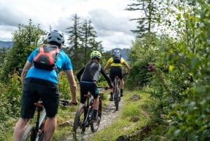 Castlewellan : expérience de vélo de montagne électrique