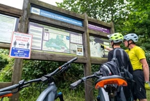 Castlewellan:Elektrisk mountainbike-upplevelse