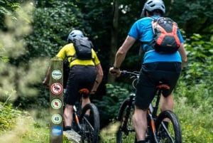 Castlewellan:Experiencia en bicicleta de montaña eléctrica