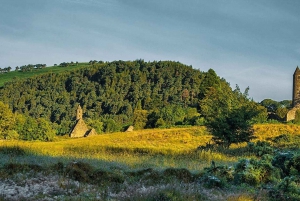 (Julemorgen) Glendalough Halvdagstur fra Dublin