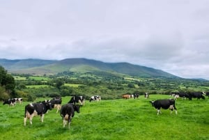 Cliffs of Moher and Blarney 2-Day Tour from Dublin