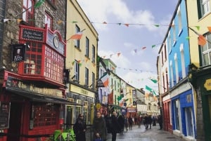 Cliffs of Moher and Galway Tour in Italian or Spanish