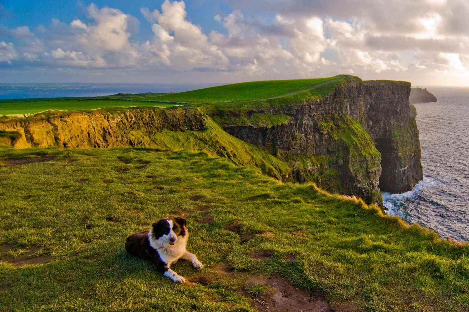 Penhascos de Moher: Tour particular de luxo saindo de Dublin