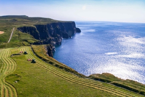 Penhascos de Moher: Tour particular de luxo saindo de Dublin