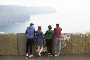 Penhascos de Moher: Tour particular de luxo saindo de Dublin
