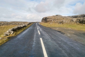 Penhascos de Moher: Tour particular de luxo saindo de Dublin