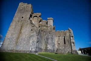 Från Dublin: Cork, Cahir Castle, Rock of Cashel rundtur på spanska