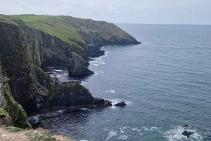 Cork: Erlebnis Landausflug