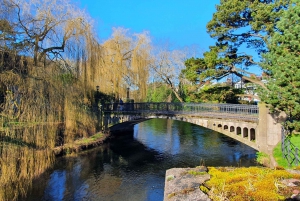 Cork: Erlebnis Landausflug