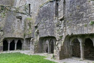 Excursion d'une journée : Colline de Tara Château de Trim Vallée de Boyne Sites celtiques