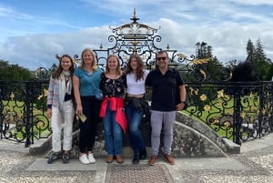 Tour di un giorno da Dublino: i migliori giardini e la campagna di Wicklow