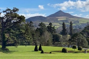 Tour di un giorno da Dublino: i migliori giardini e la campagna di Wicklow