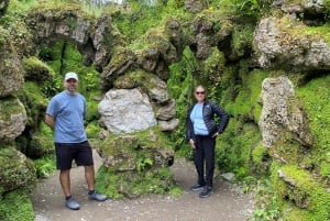 Tour di un giorno da Dublino: i migliori giardini e la campagna di Wicklow