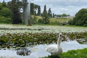Tour di un giorno da Dublino: i migliori giardini e la campagna di Wicklow