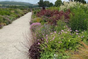 Tour di un giorno da Dublino: i migliori giardini e la campagna di Wicklow