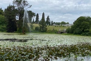 Tour di un giorno da Dublino: i migliori giardini e la campagna di Wicklow